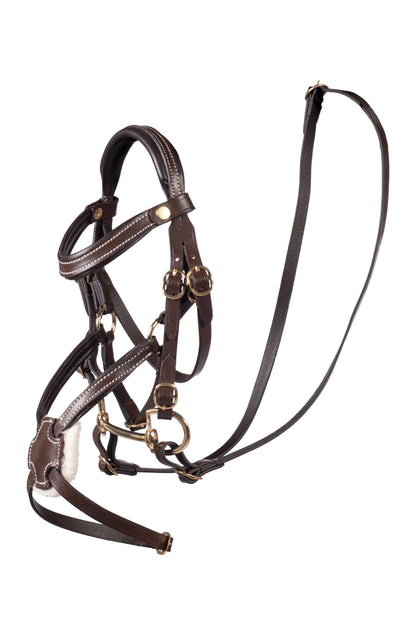 Cabezada mexicano -Hobby Horsing- - HKM