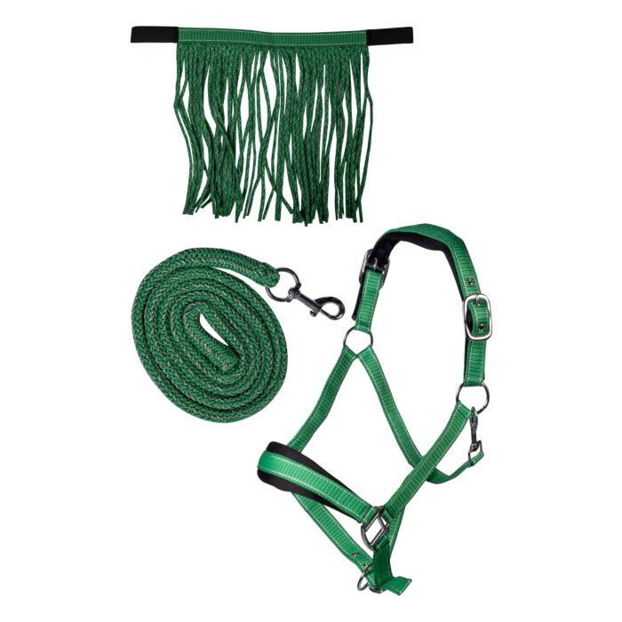 Cabezada set -Lilly- con mosquetón & mosquero HKM verde - imagen de producto HKM