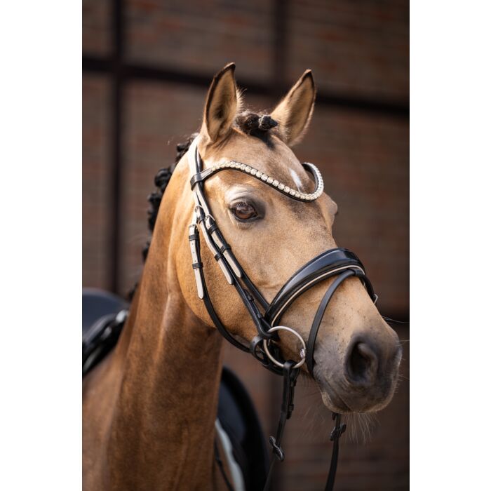Cabezada Lauria Garrelli Bridle Limone Elegant vista principal