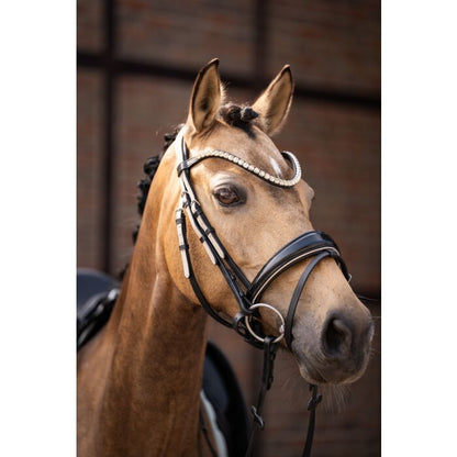 Cabezada Lauria Garrelli Bridle Limone Elegant vista principal