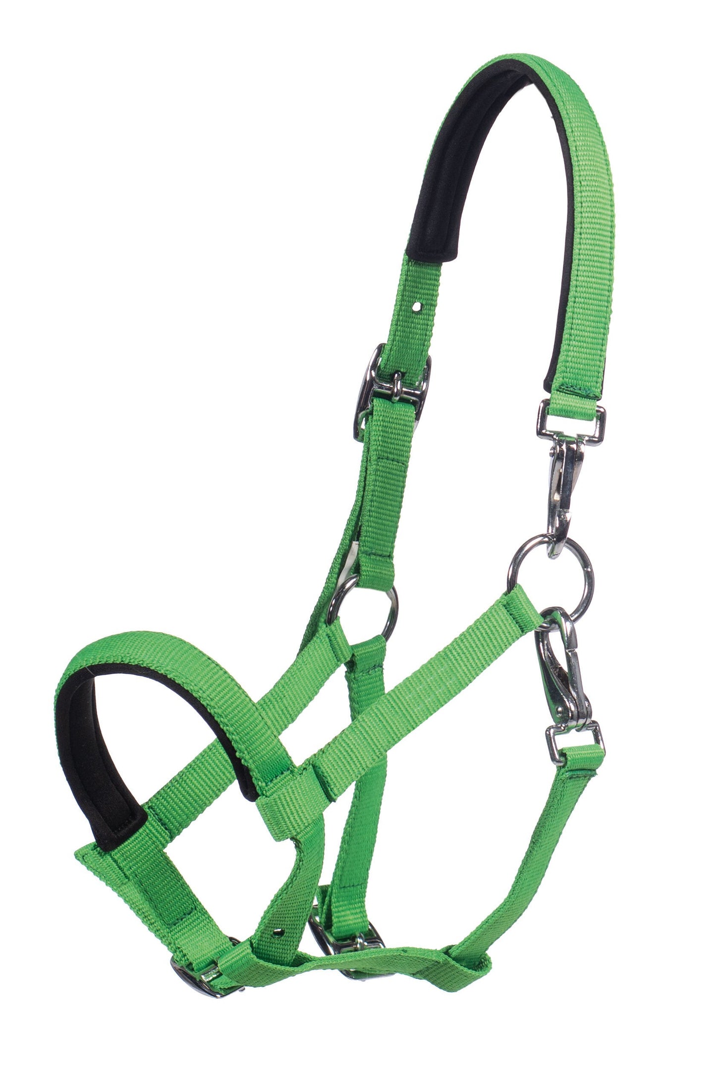 Cabezada para potro -Millie- - HKM