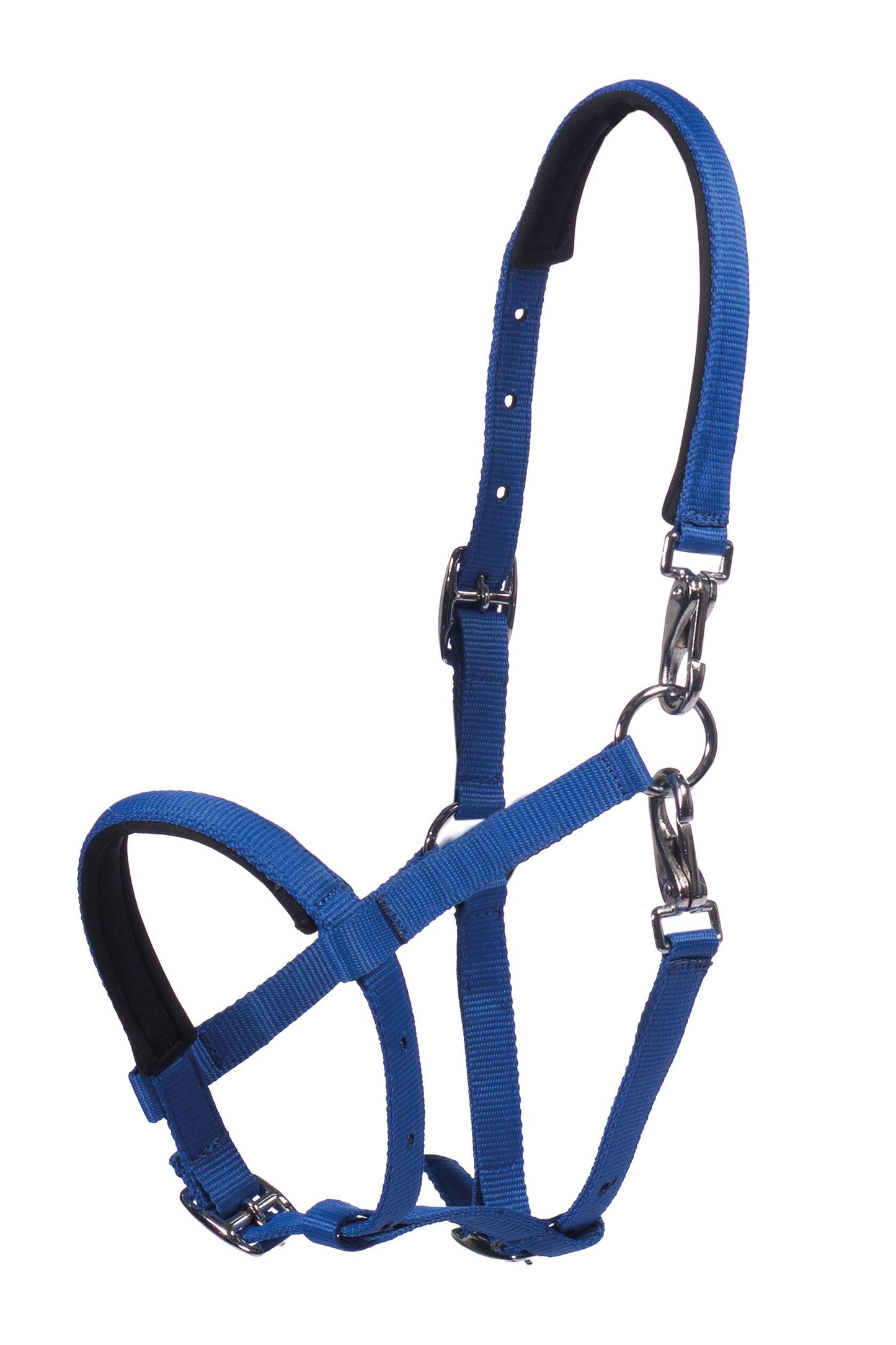 Cabezada para potro -Millie- - HKM