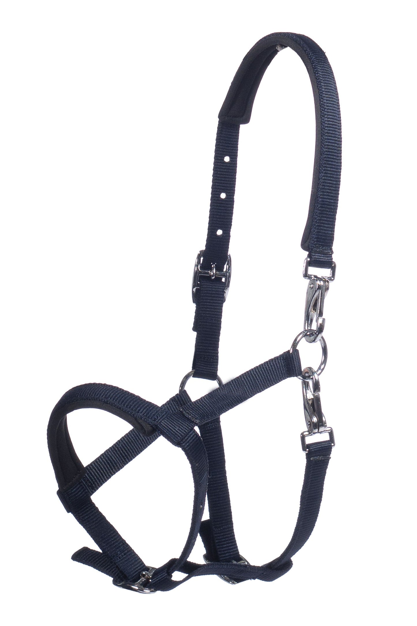 Cabezada para potro -Millie- - HKM