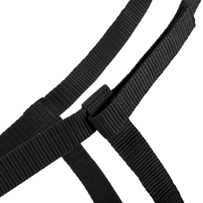 Cabezada de cuadra Field head collar QHP para equitación