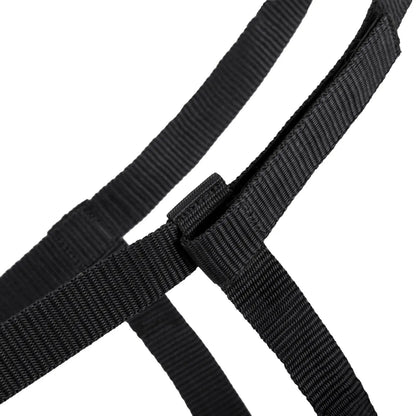 Cabezada de cuadra Field head collar QHP para equitación - vista 2