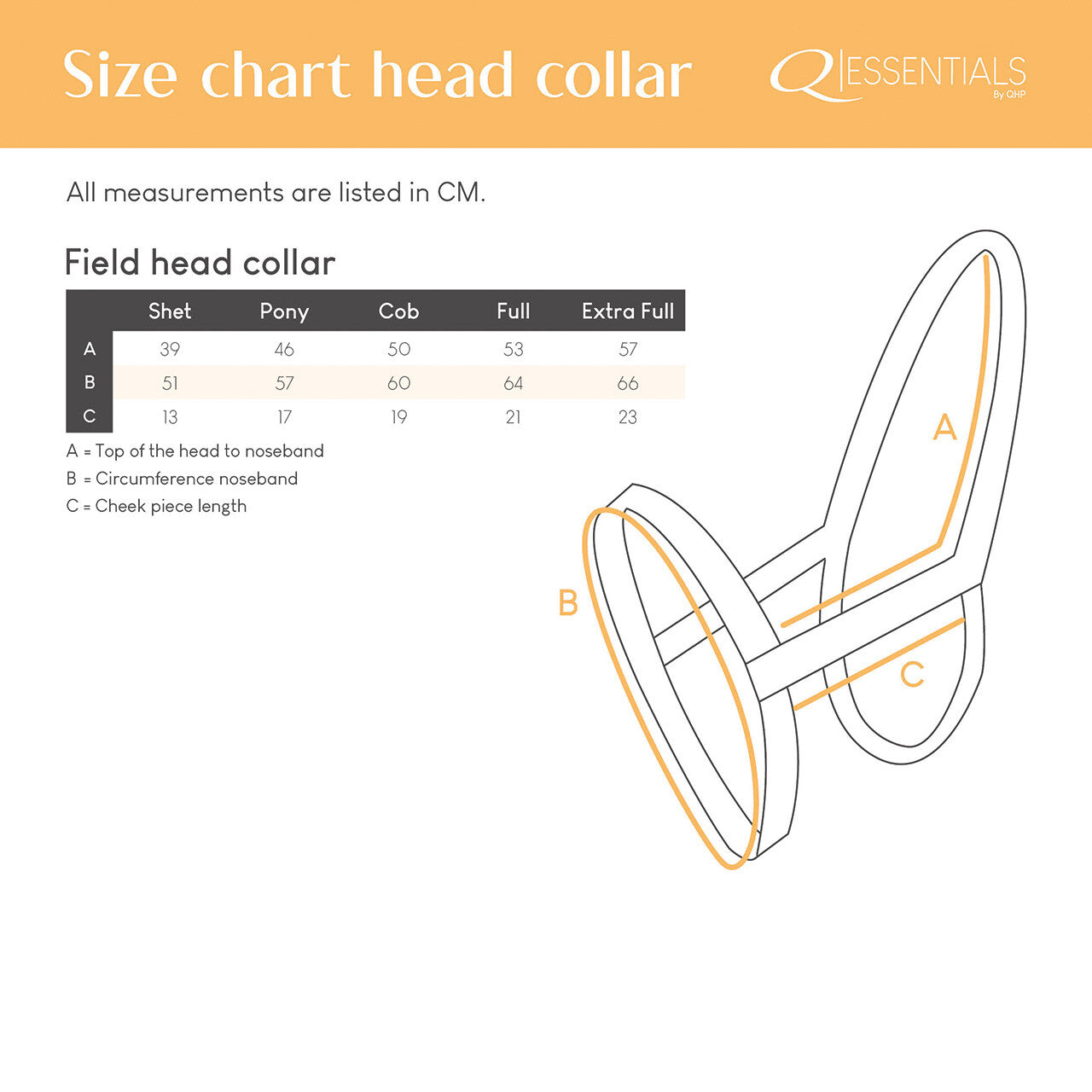 Cabezada de cuadra Field head collar QHP para equitación - vista 5