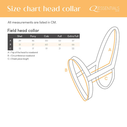 Cabezada de cuadra Field head collar QHP para equitación - vista 6
