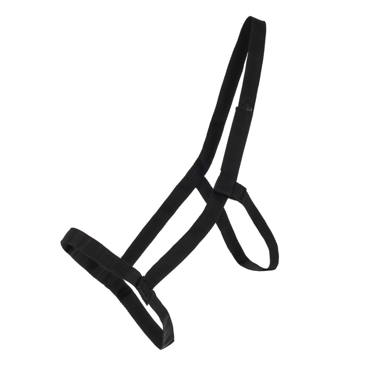 Cabezada de cuadra Field head collar QHP para equitación - vista 9