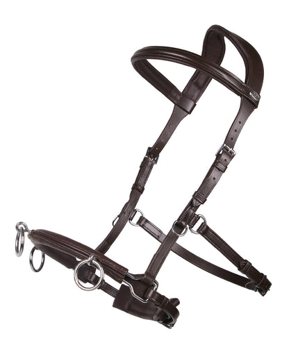 Cabezada de cuadra Cavesson cuero QHP para equitación