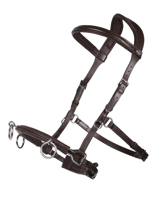 Cabezada de cuadra Cavesson Leather QHP para equitación - vista 2
