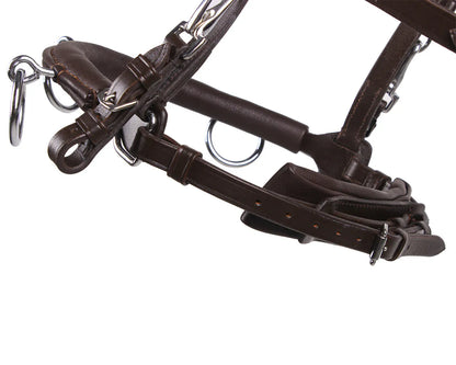 Cabezada de cuadra Cavesson cuero QHP para equitación - vista 6