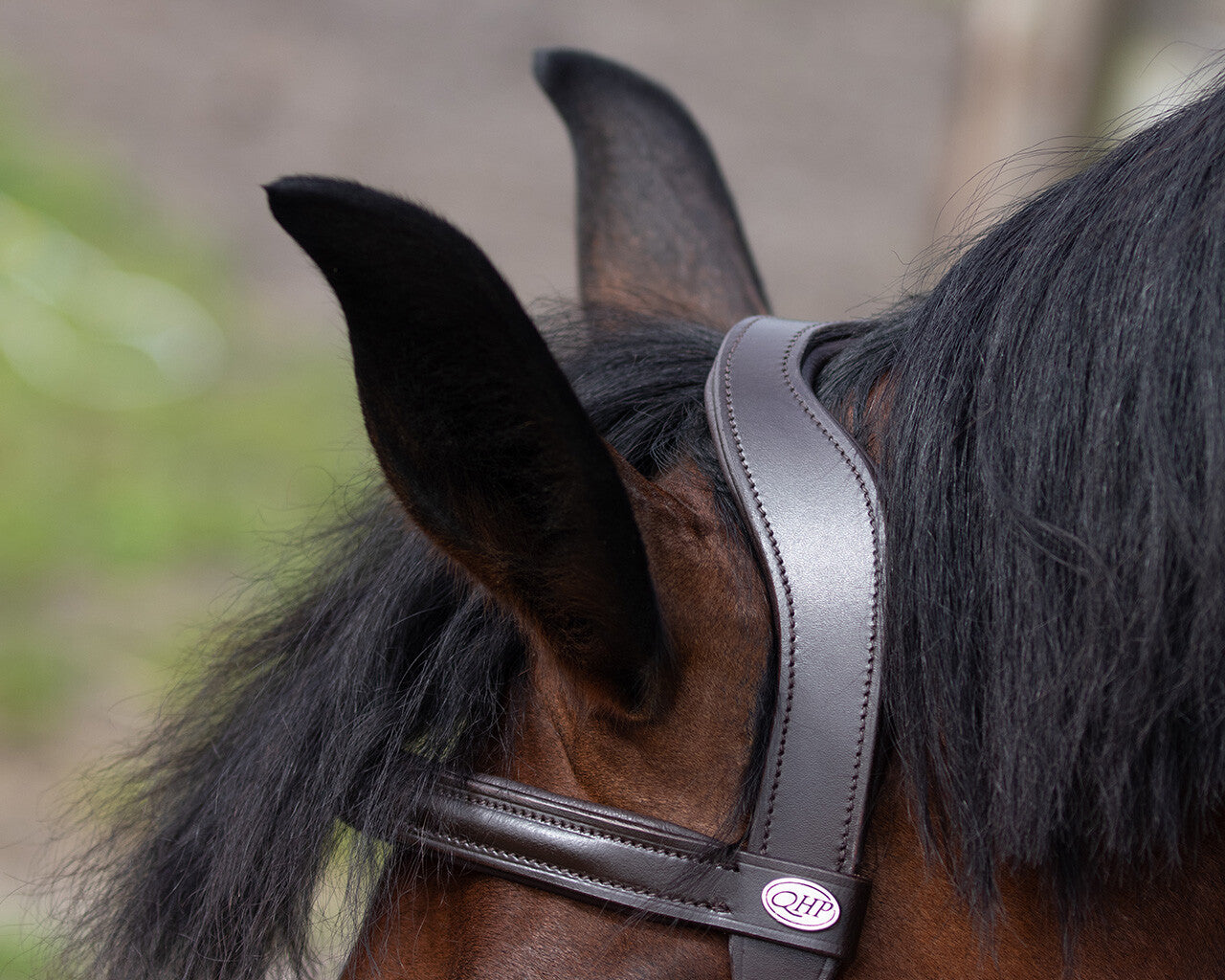 Cabezada de cuadra Cavesson Leather QHP para equitación - vista 11