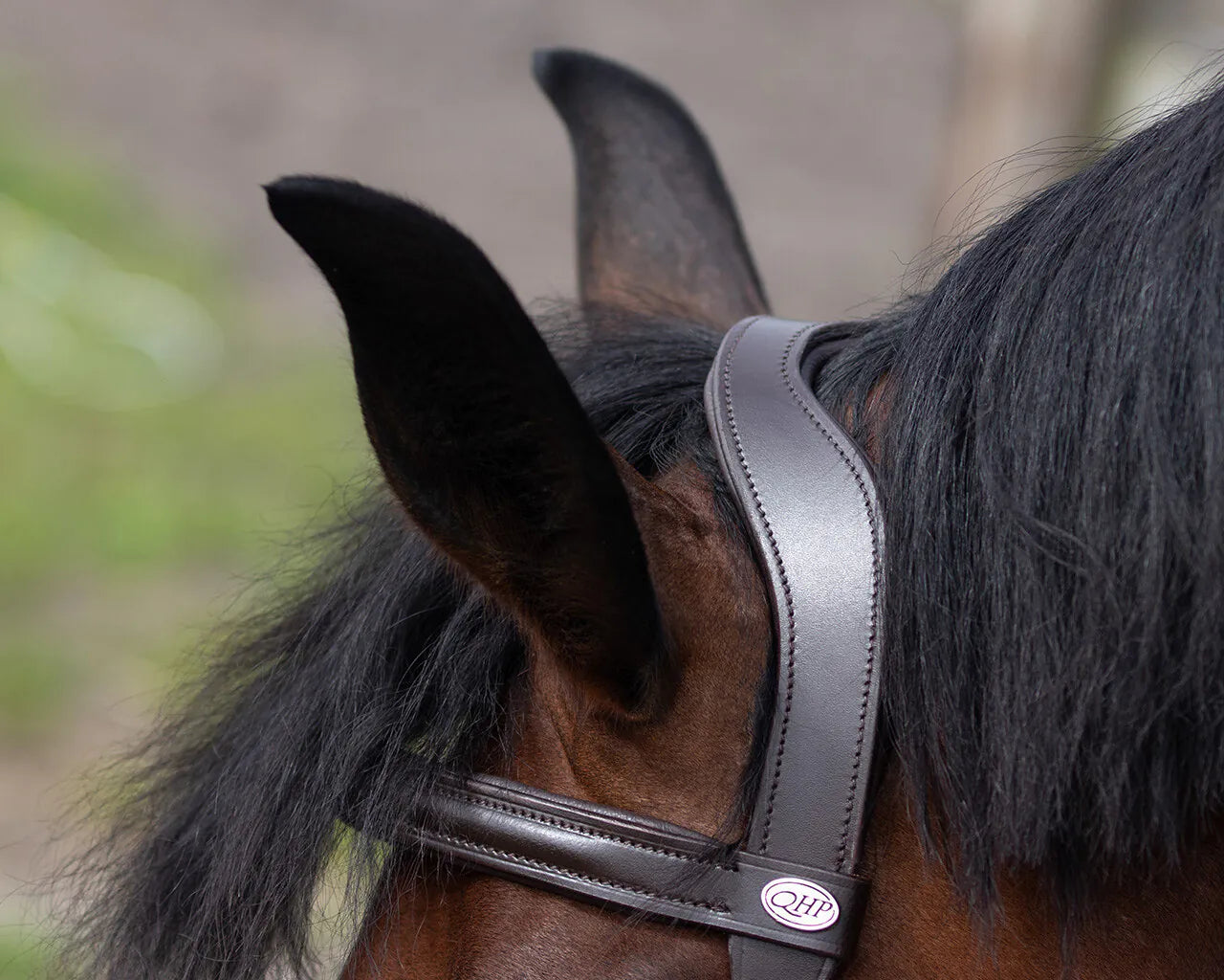 Cabezada de cuadra Cavesson Leather QHP para equitación - vista 12