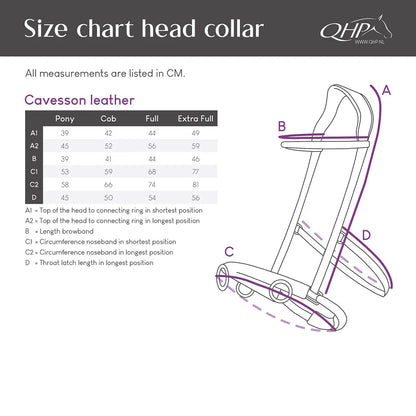 Cabezada de cuadra Cavesson Leather QHP para equitación - vista 14