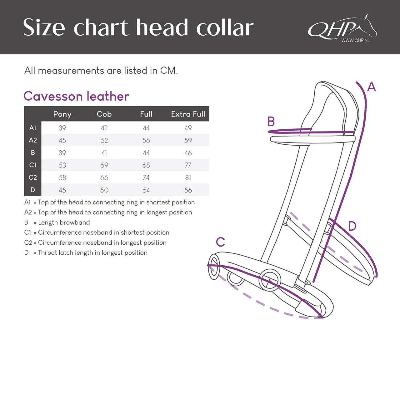 Cabezada de cuadra Cavesson Leather QHP para equitación - vista 14