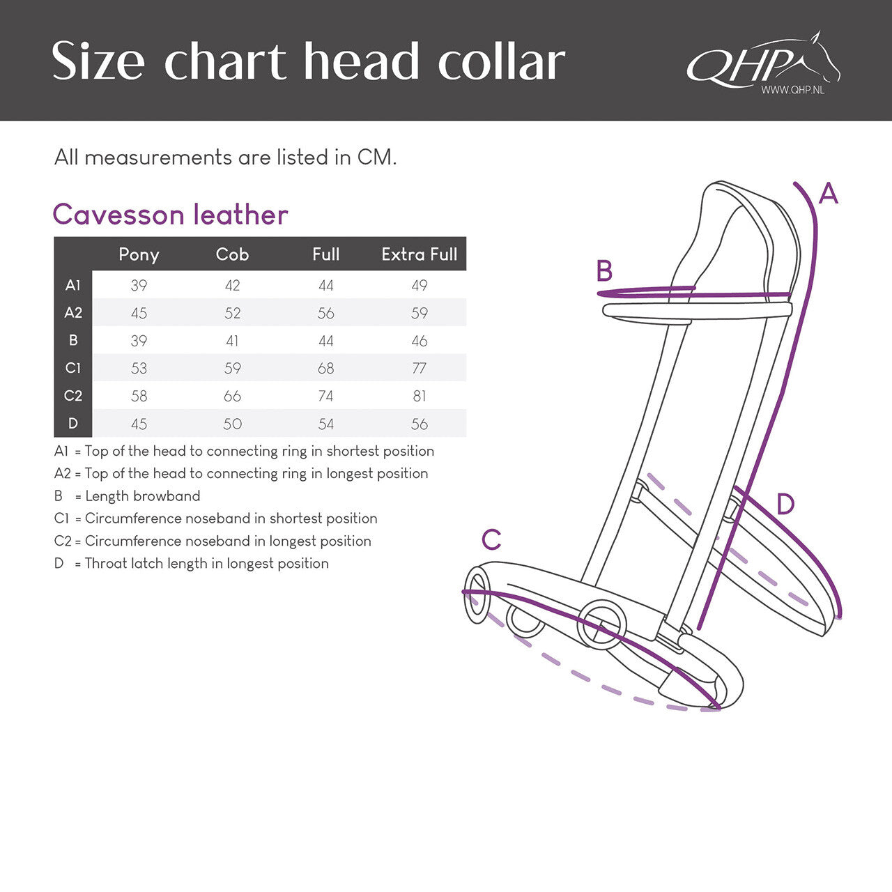 Cabezada de cuadra Cavesson Leather QHP para equitación - vista 13