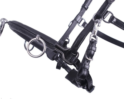 Cabezada de cuadra Cavesson Leather QHP para equitación - vista 18