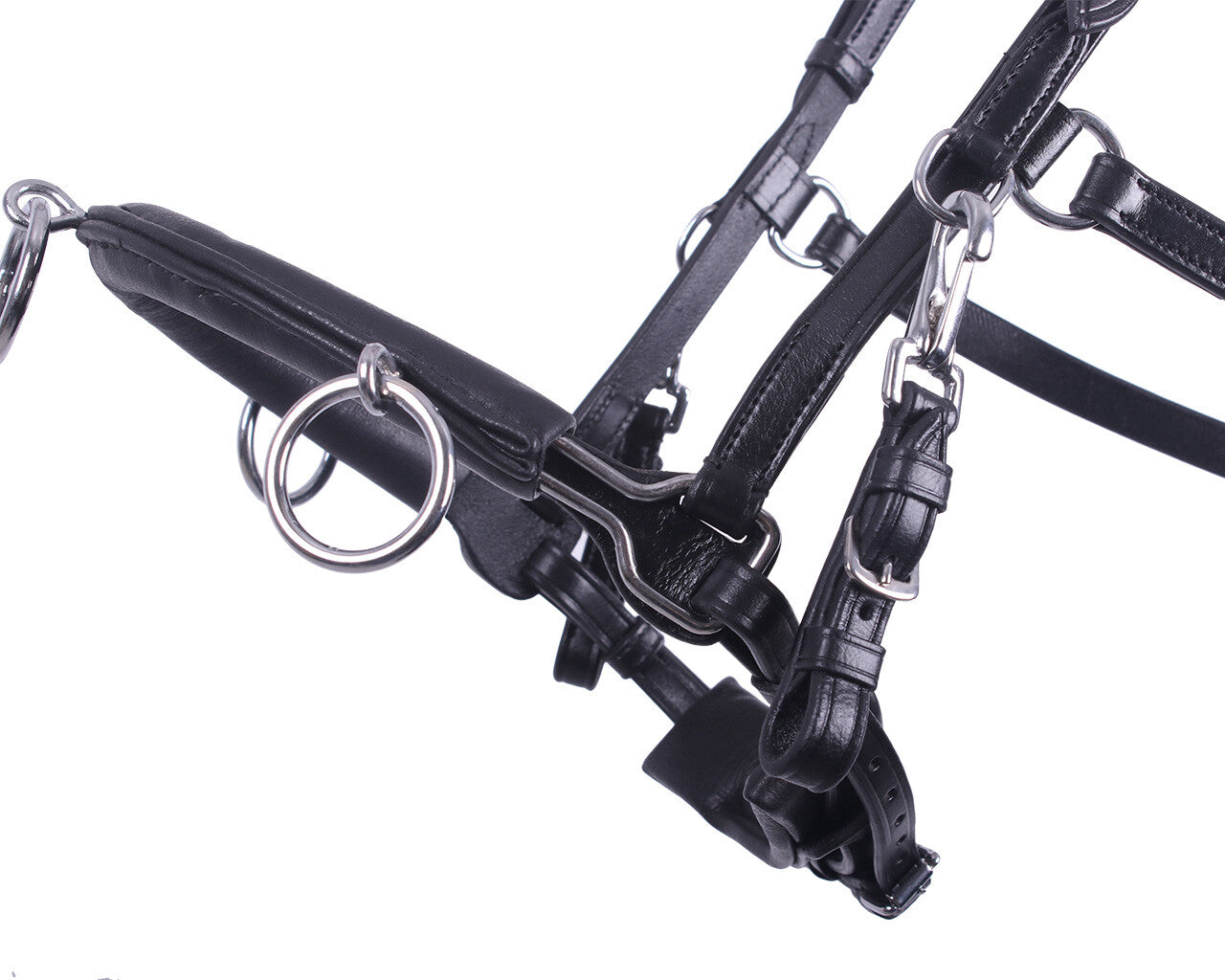 Cabezada de cuadra Cavesson Leather QHP para equitación - vista 17