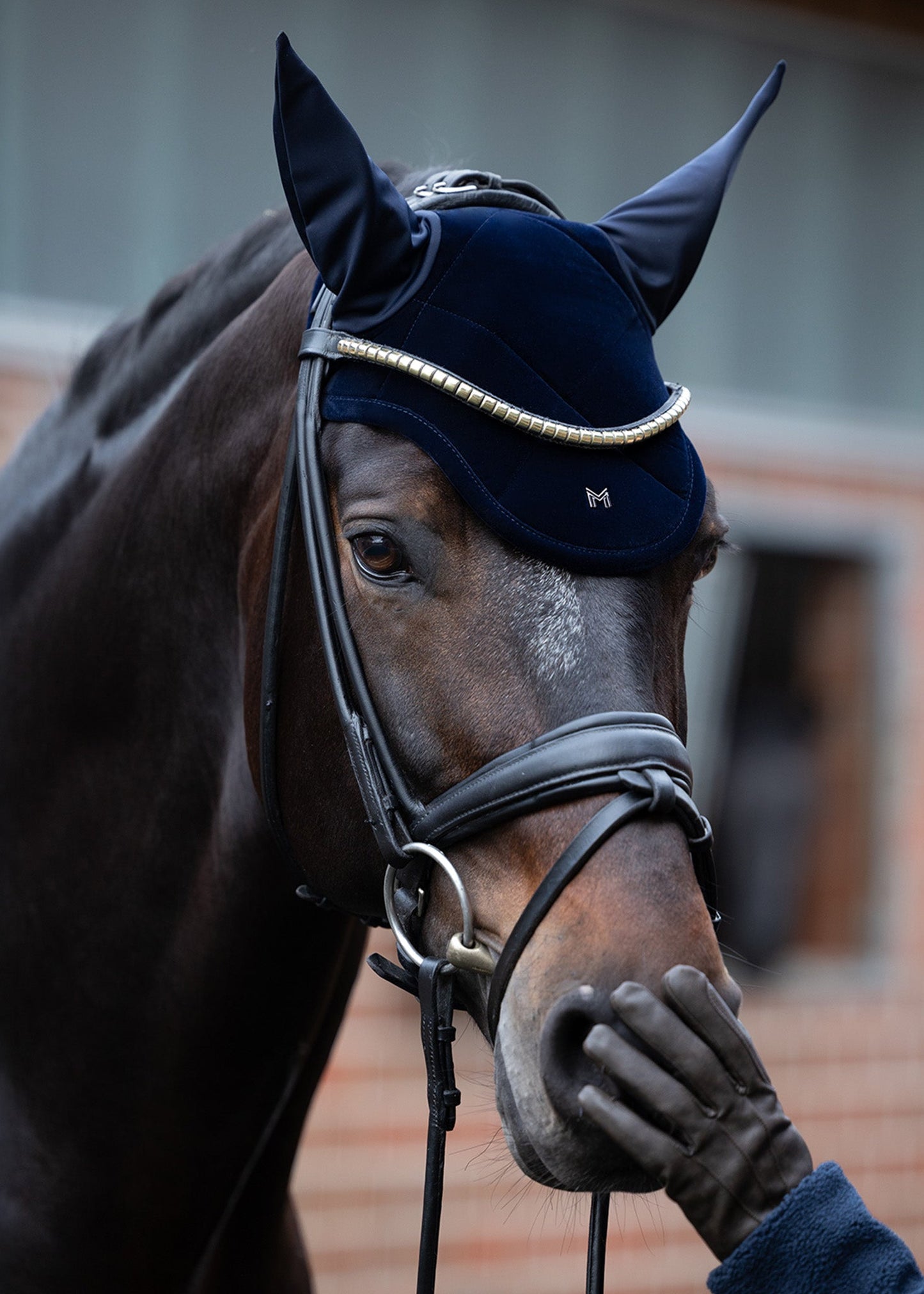 Producto ecuestre Maximilian Equestrian Velvet Ear Bonnet (Sapphire) detalle 2
