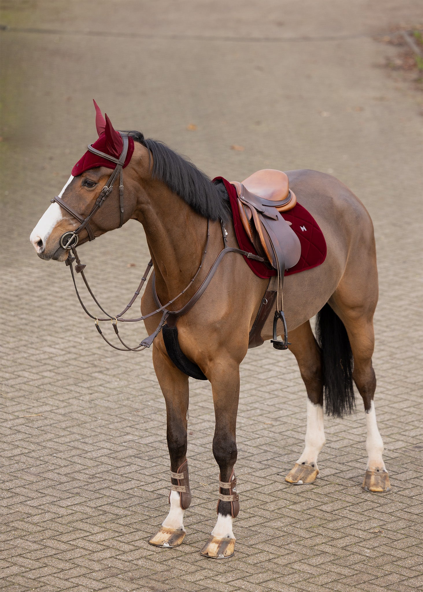 Producto ecuestre Maximilian Equestrian Velvet Ear Bonnet (Ruby) detalle 2
