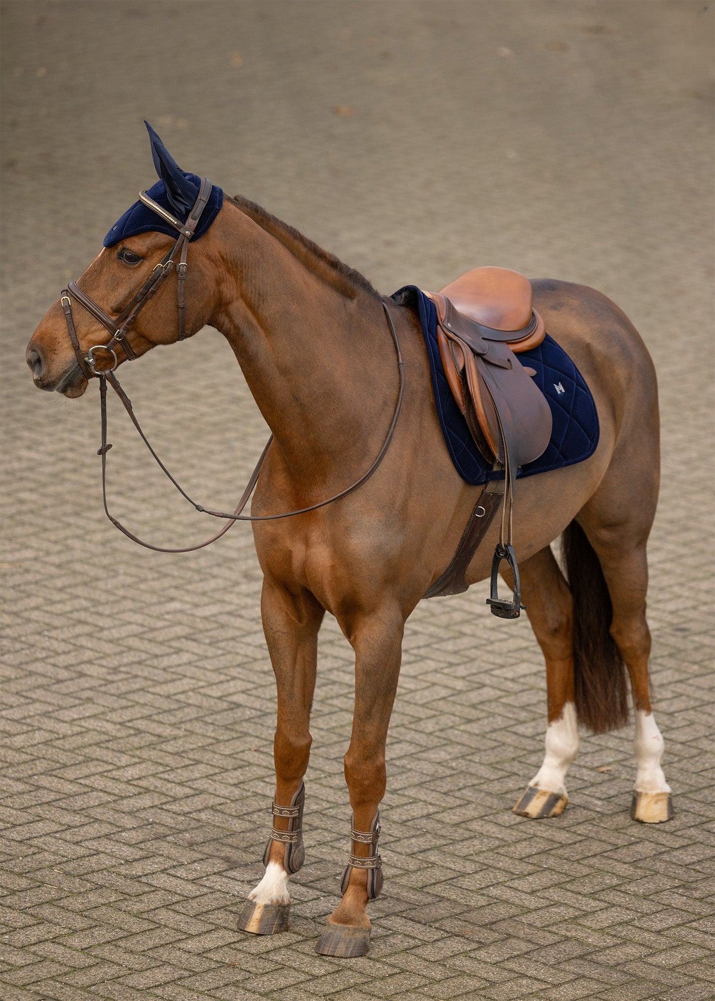 Producto ecuestre Maximilian Equestrian Velvet Ear Bonnet (Sapphire) detalle 4
