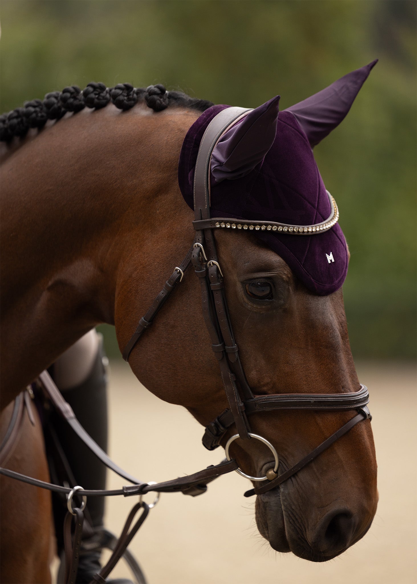 Producto ecuestre Maximilian Equestrian Velvet Ear Bonnet (Amethyst) detalle 2