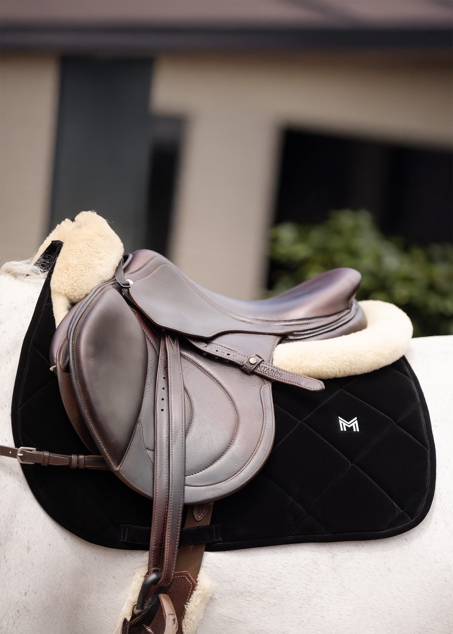 Producto ecuestre Maximilian Equestrian Velvet Jumping Saddle Pad (Black) detalle 2
