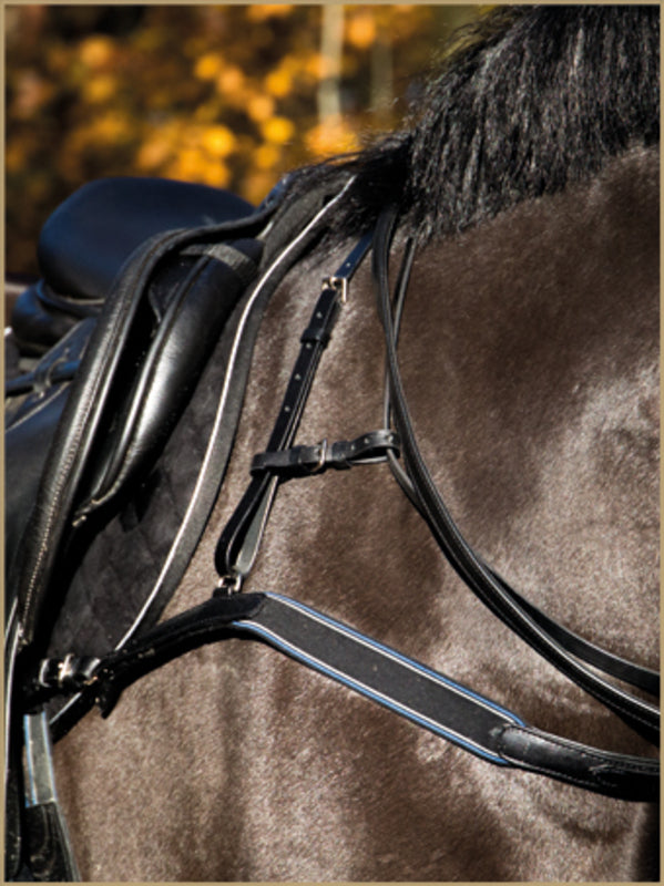 Breastplates Stübben Breastplate padded vista principal