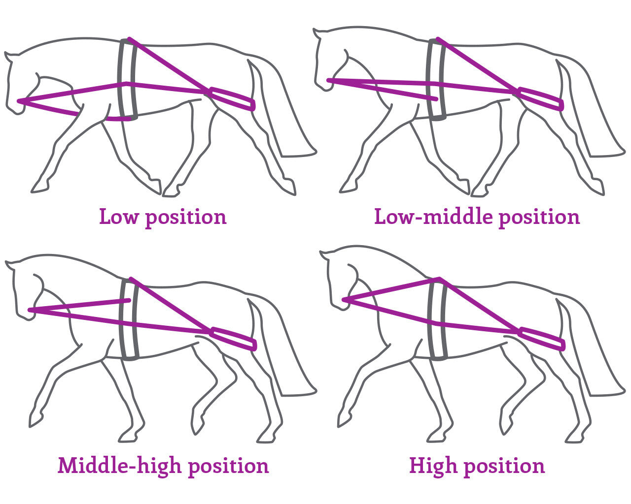 Accesorio ecuestre Lunging entrenamiento system QHP para equitación - vista 4