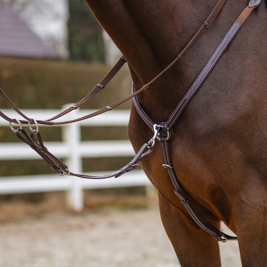 Pechopetral pechopetral luxury stitching QHP para equitación - vista 2