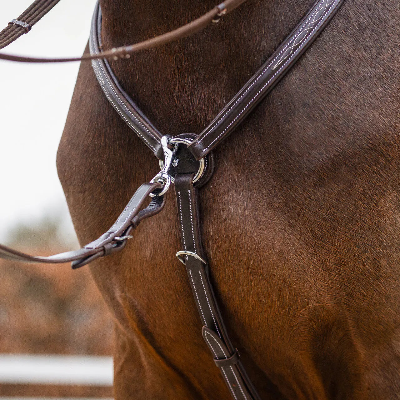 Pechopetral pechopetral luxury stitching QHP para equitación - vista 4