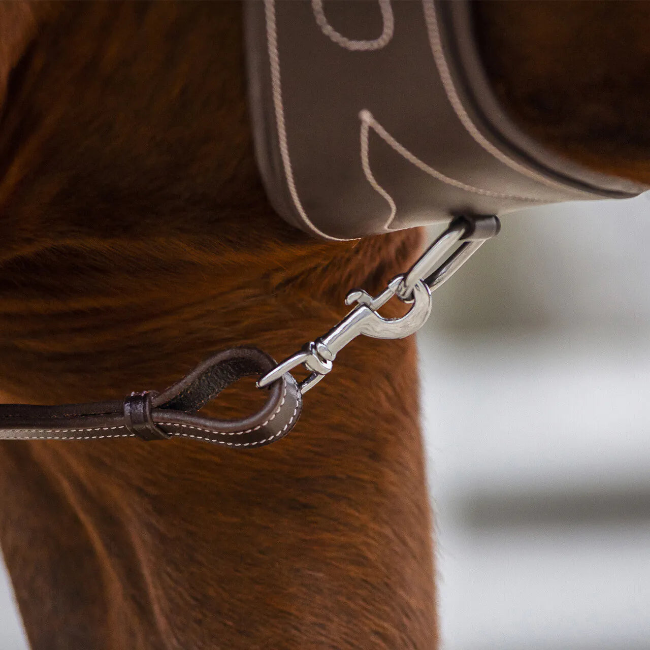 Pechopetral pechopetral luxury stitching QHP para equitación - vista 10