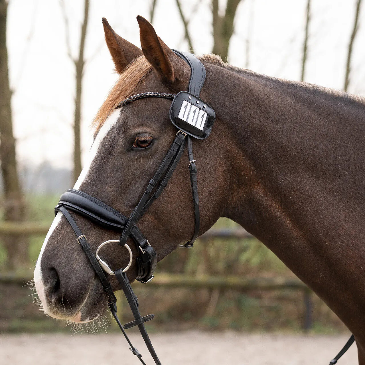 Mantillas Number holders (2-pack) QHP para equitación - vista 14