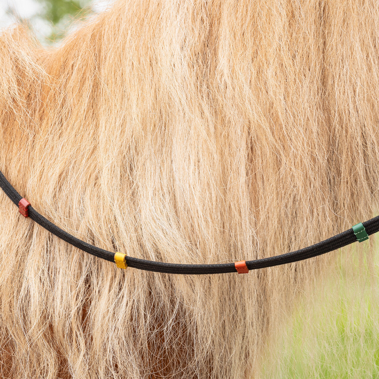 Riendas Rein coloured stops QHP para equitación - vista 5