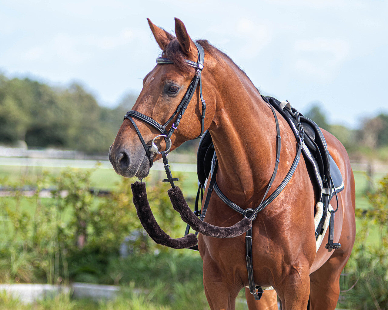 Riendas Rein covers fur QHP para equitación - vista 3