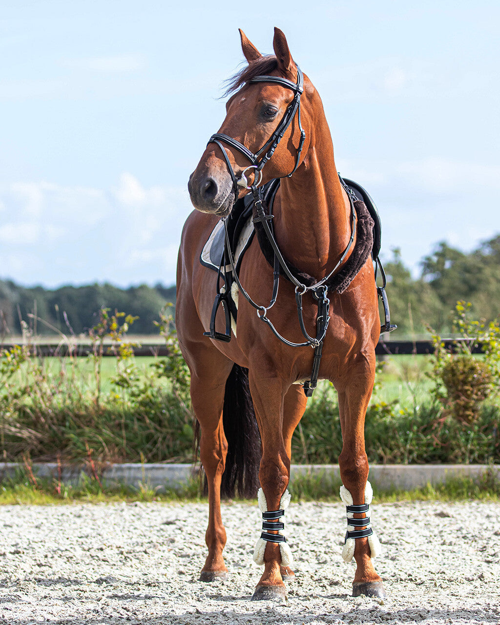 Riendas Rein covers fur QHP para equitación - vista 5