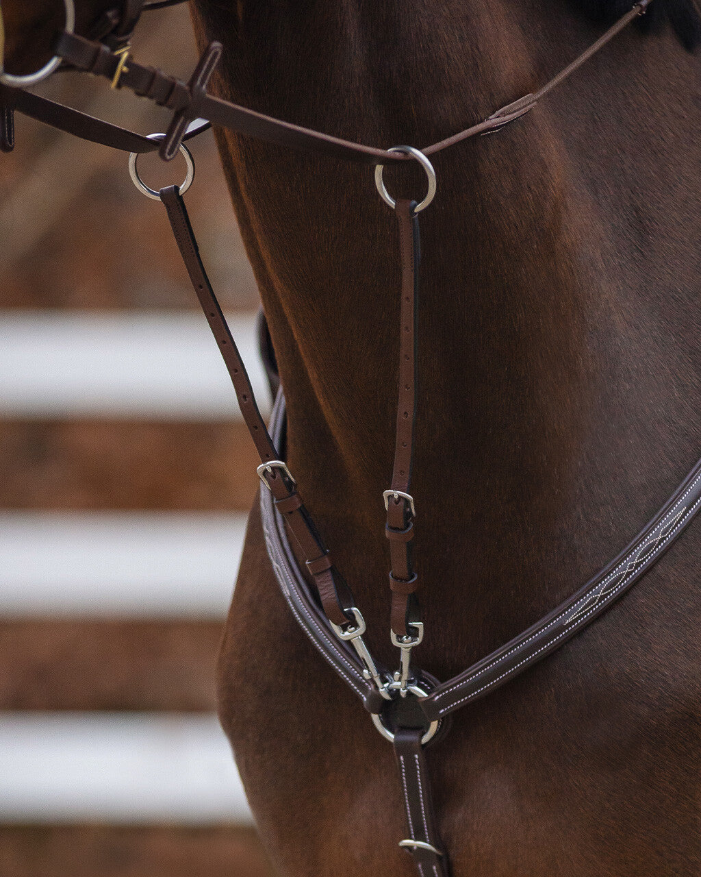 Pechopetrales Martingale fork regular QHP para equitación