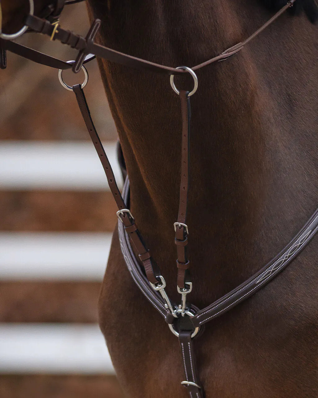 Pechopetrales Martingale fork regular QHP para equitación - vista 2