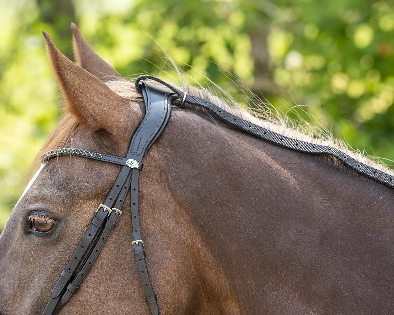 Riendas Daisy Rein QHP para equitación - vista 6