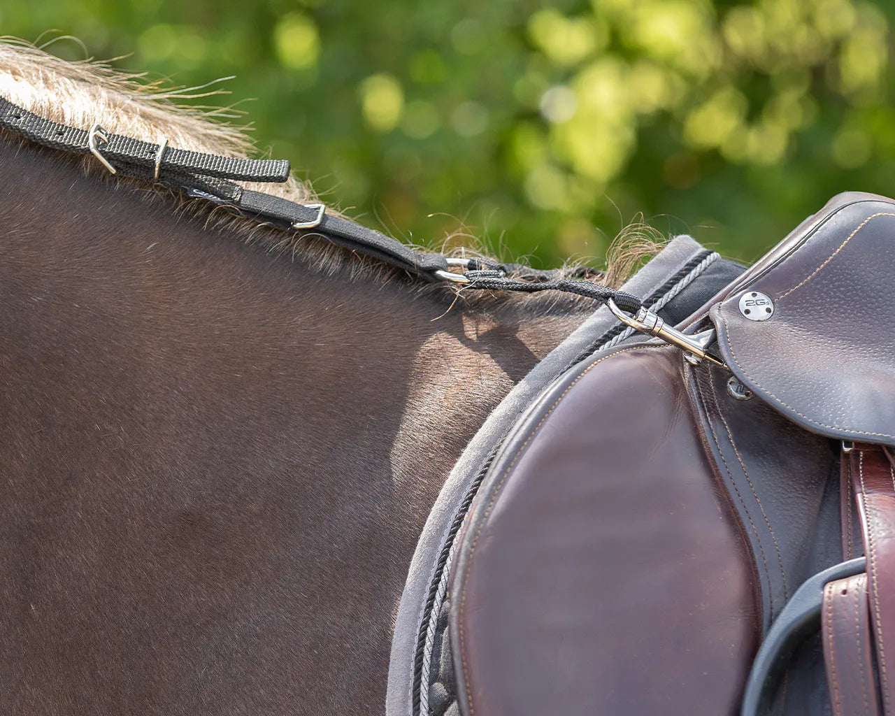 Riendas Daisy Rein QHP para equitación - vista 8