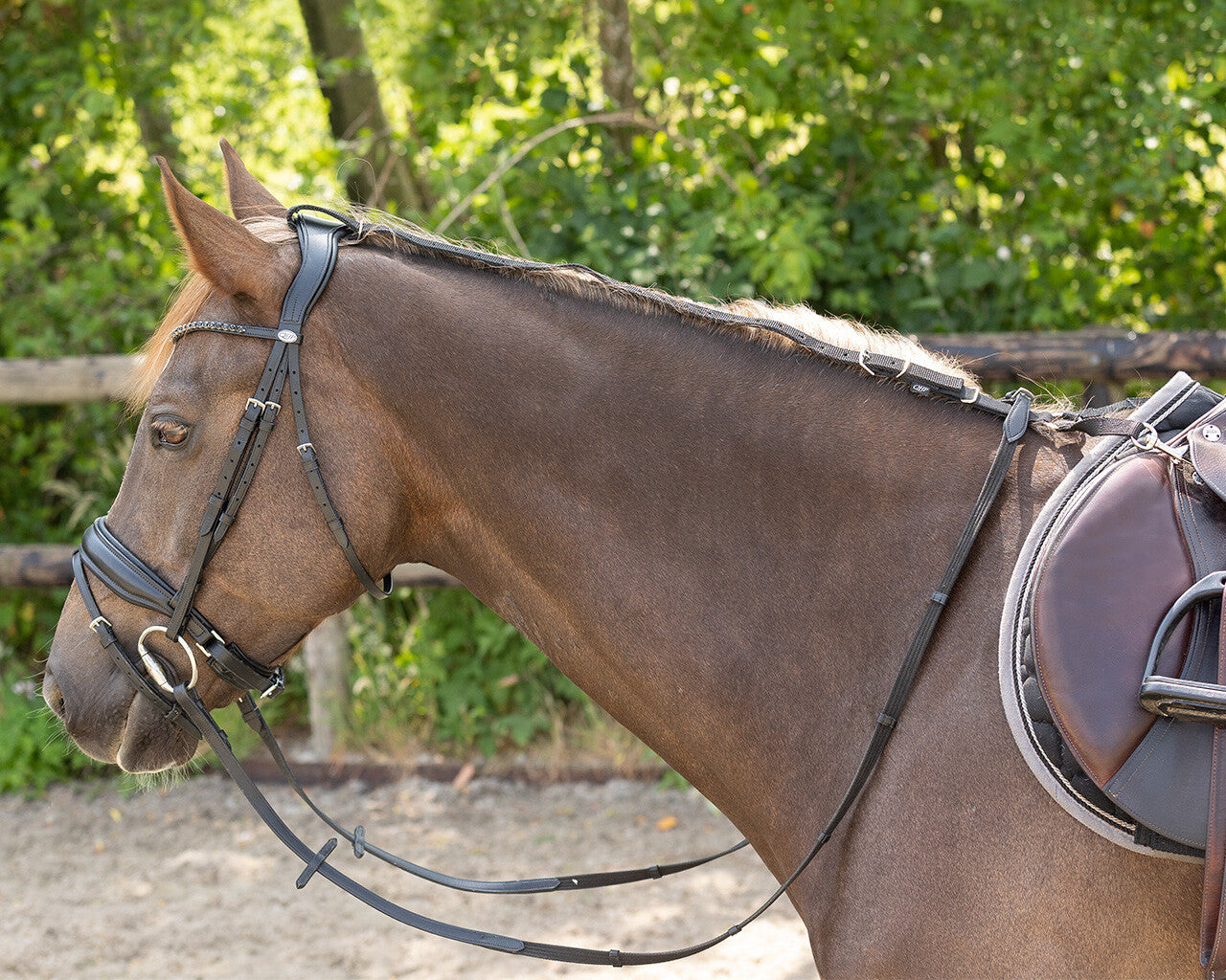Riendas Daisy Rein QHP para equitación - vista 20