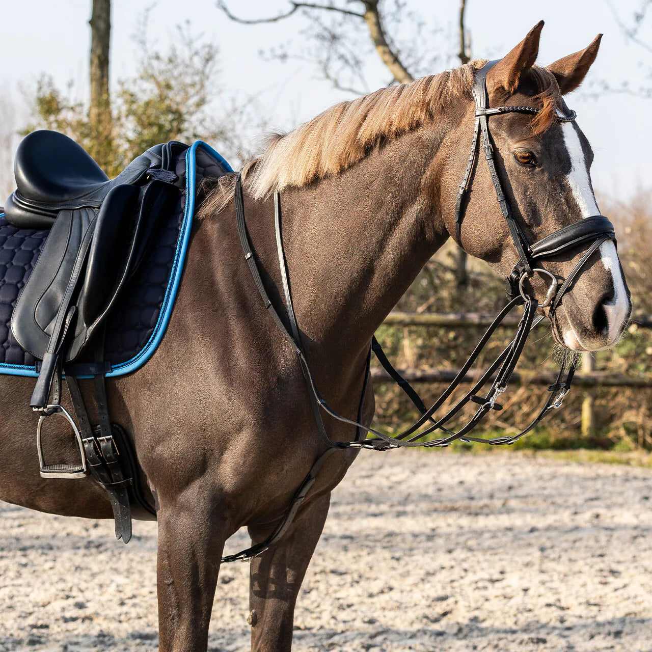 Riendas Thiedeman rein set QHP para equitación - vista 10
