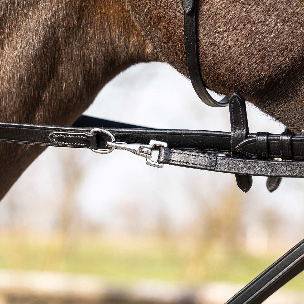 Riendas Thiedeman rein set QHP para equitación - vista 36