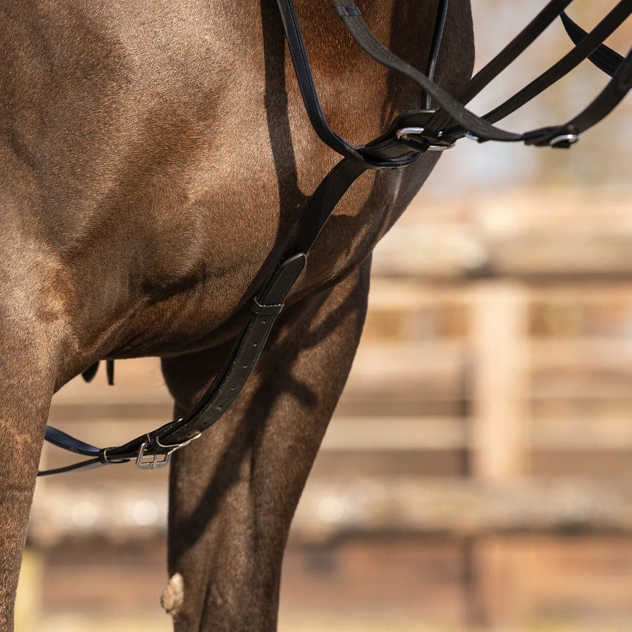 Riendas Thiedeman rein set QHP para equitación - vista 16