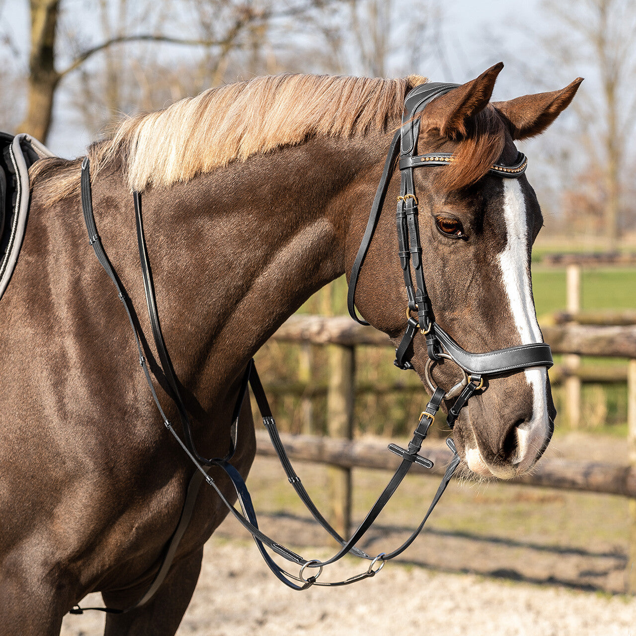 Cabezadas Martingale Basic pro QHP para equitación - vista 26