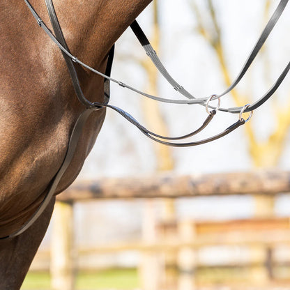 Cabezadas Martingale Basic pro QHP para equitación - vista 12