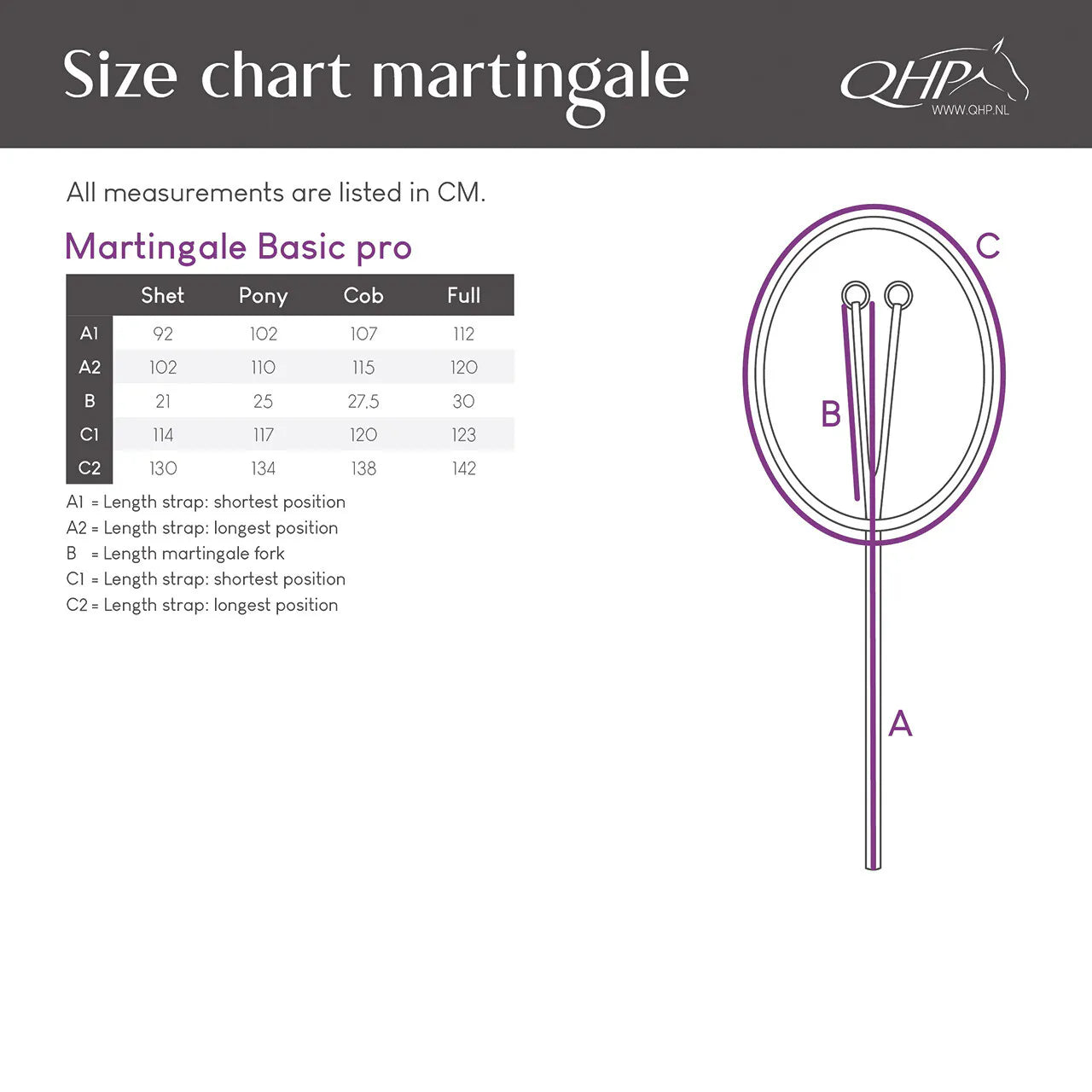 Cabezadas Martingale Basic pro QHP para equitación - vista 14