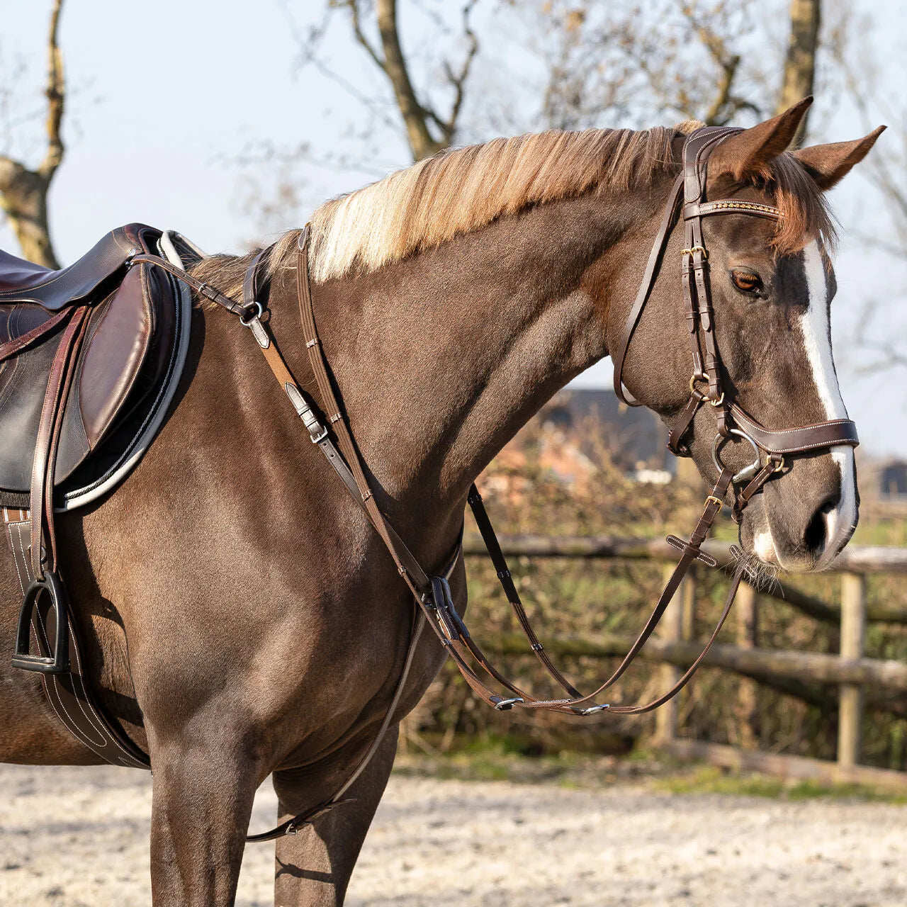 Pechopetral pechopetral Basic pro QHP para equitación - vista 8
