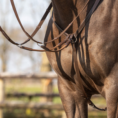 Pechopetral pechopetral Basic pro QHP para equitación - vista 27
