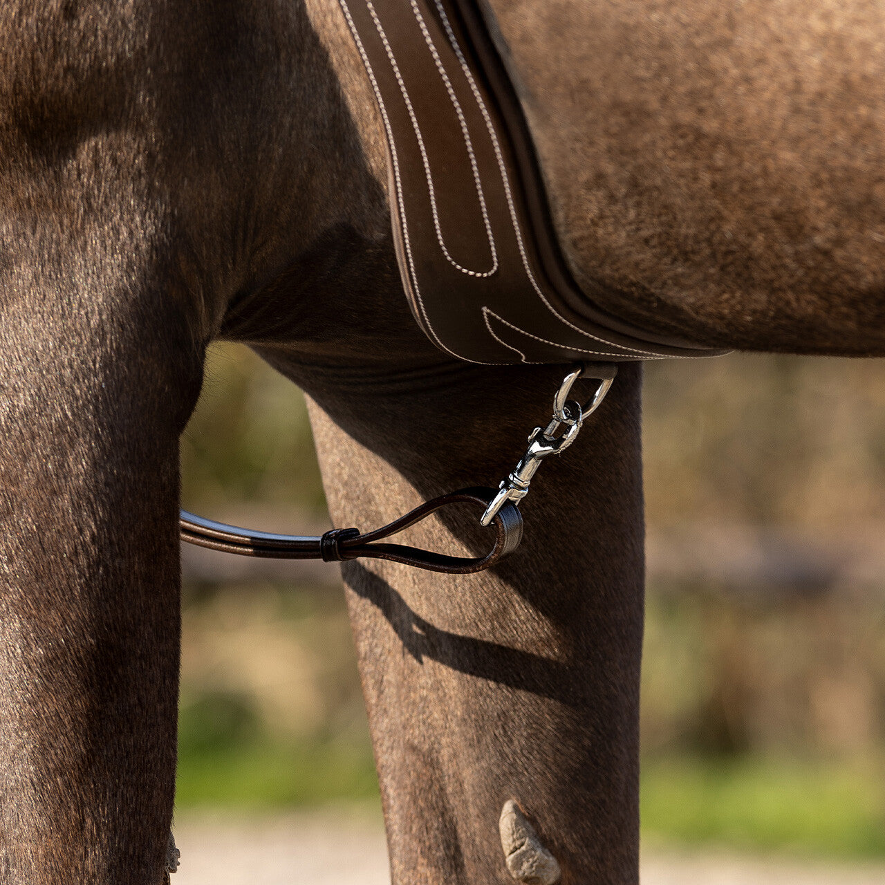 Pechopetral pechopetral Basic pro QHP para equitación - vista 28